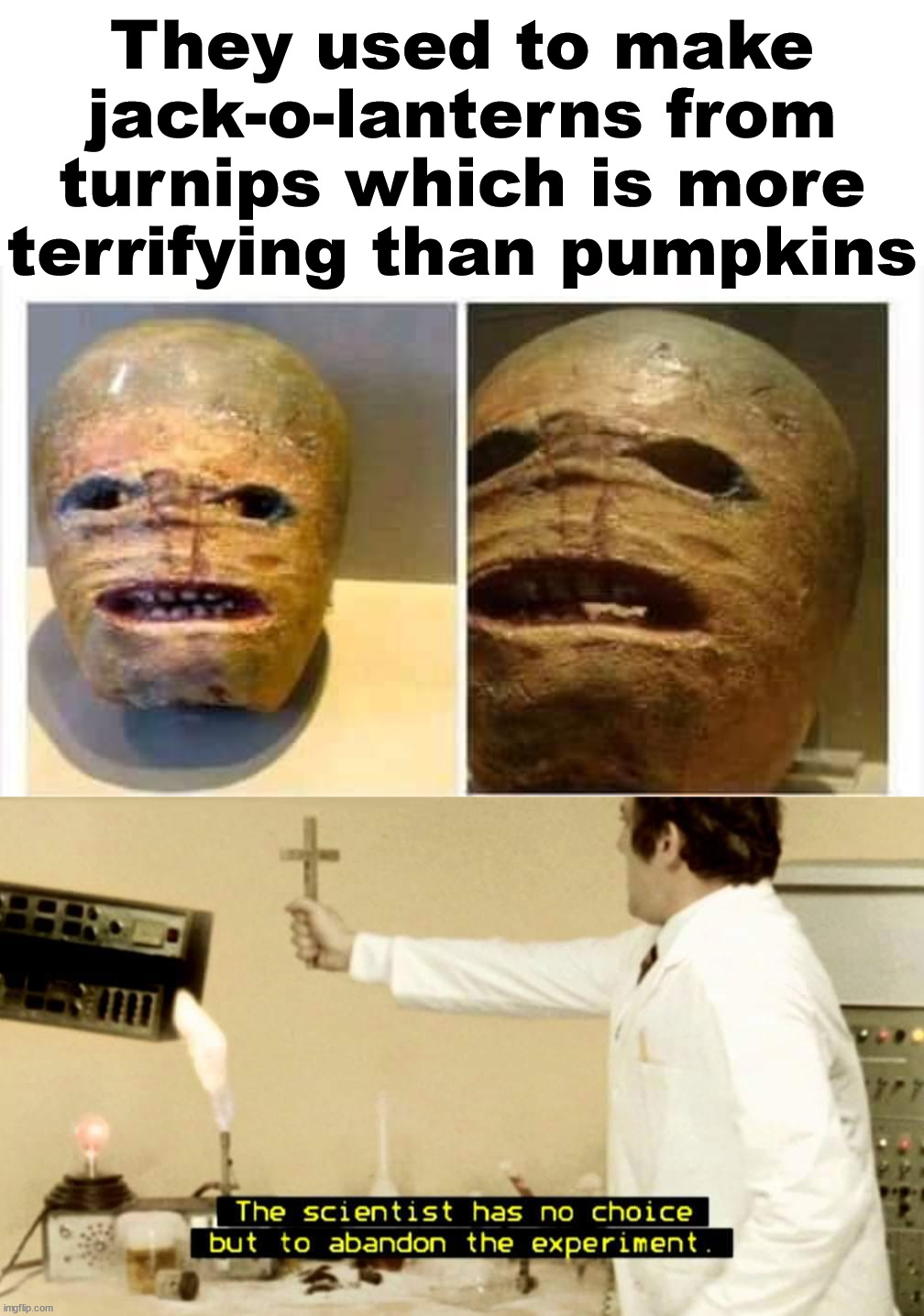 Looks like a horrible mummy | They used to make jack-o-lanterns from turnips which is more terrifying than pumpkins | image tagged in terror,halloween is coming,turnip,pumpkin,decorating | made w/ Imgflip meme maker