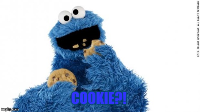 cookie monster | COOKIE?! | image tagged in cookie monster | made w/ Imgflip meme maker