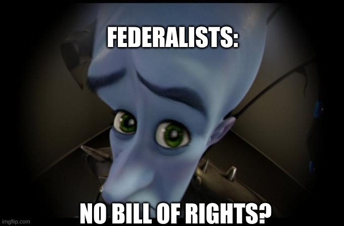 No B****es? |  FEDERALISTS:; NO BILL OF RIGHTS? | image tagged in no b es | made w/ Imgflip meme maker