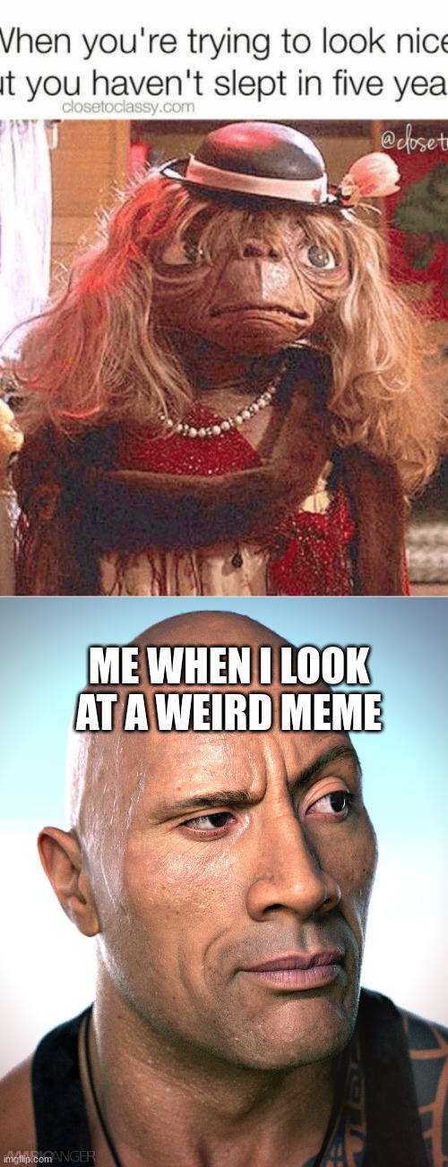 me looking at a weird meme - Imgflip