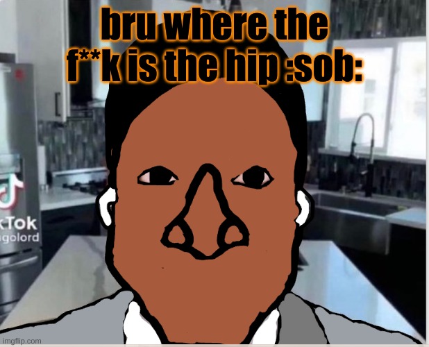 n | bru where the f**k is the hip :sob: | image tagged in n | made w/ Imgflip meme maker