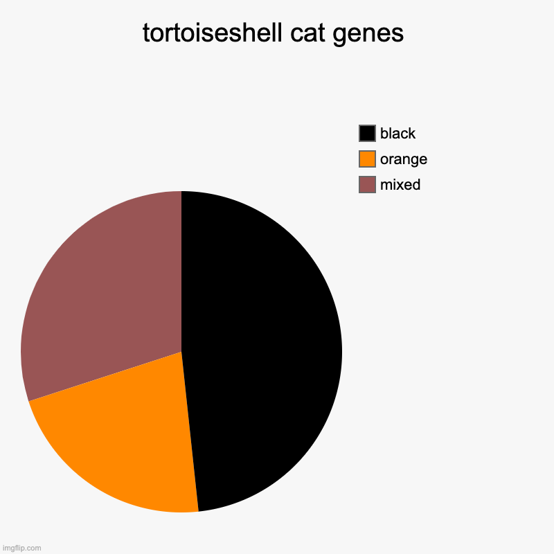 use this for your cat gene science fair | tortoiseshell cat genes | mixed, orange, black | image tagged in charts,pie charts | made w/ Imgflip chart maker