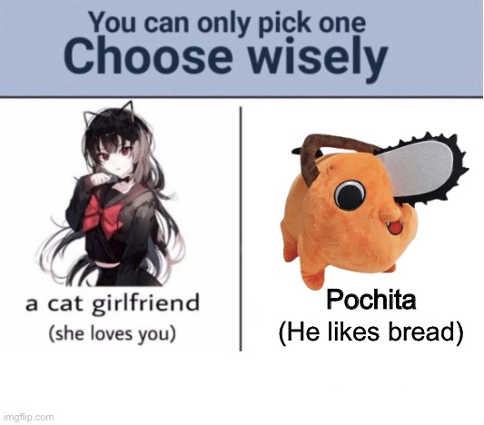 Choose wisely | Pochita; (He likes bread) | image tagged in choose wisely | made w/ Imgflip meme maker