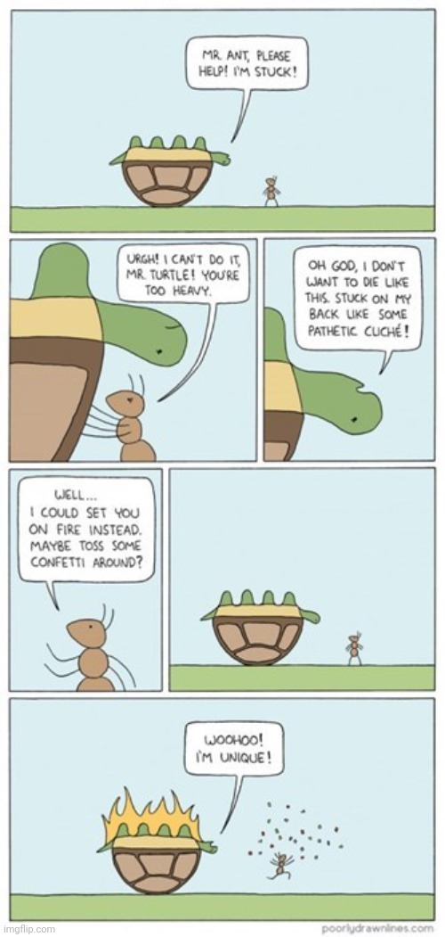 Turtle | image tagged in turtle,ants,ant,comics,comics/cartoons,turtles | made w/ Imgflip meme maker