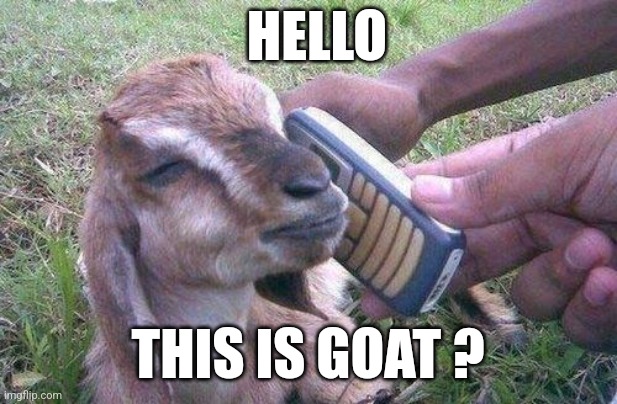 This Is Goat | HELLO; THIS IS GOAT ? | image tagged in funny,memes,goat | made w/ Imgflip meme maker