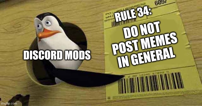 penguin | RULE 34:; DO NOT POST MEMES IN GENERAL; DISCORD MODS | image tagged in penguin pointing at sign | made w/ Imgflip meme maker