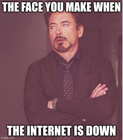 Face You Make Robert Downey Jr Meme | THE FACE YOU MAKE WHEN; THE INTERNET IS DOWN | image tagged in memes,face you make robert downey jr | made w/ Imgflip meme maker