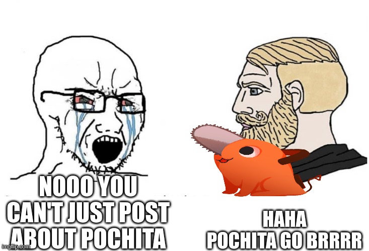 pochita | HAHA POCHITA GO BRRRR; NOOO YOU CAN'T JUST POST ABOUT POCHITA | made w/ Imgflip meme maker