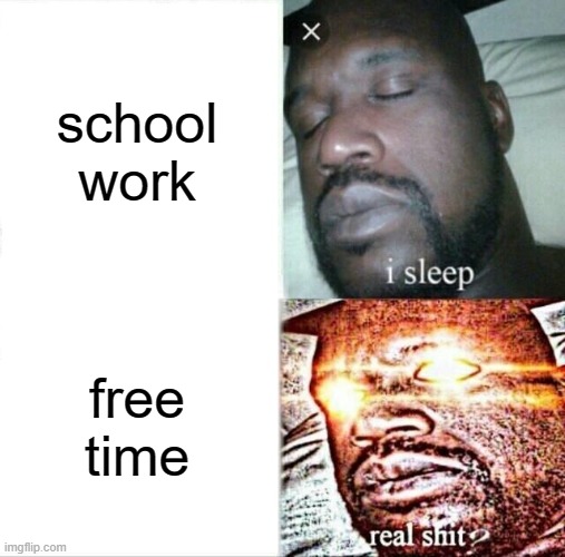 me at school | school work; free time | image tagged in memes,sleeping shaq | made w/ Imgflip meme maker