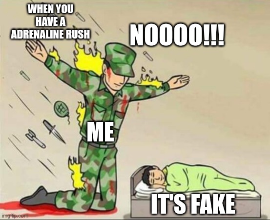 Soldier protecting sleeping child | WHEN YOU HAVE A ADRENALINE RUSH; NOOOO!!! ME; IT'S FAKE | image tagged in soldier protecting sleeping child | made w/ Imgflip meme maker
