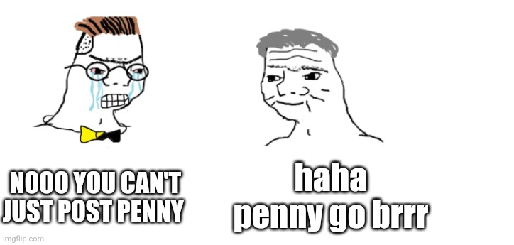nooo haha go brrr | NOOO YOU CAN'T JUST POST PENNY; haha penny go brrr | image tagged in nooo haha go brrr | made w/ Imgflip meme maker