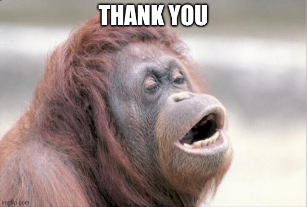 Monkey OOH Meme | THANK YOU | image tagged in memes,monkey ooh | made w/ Imgflip meme maker