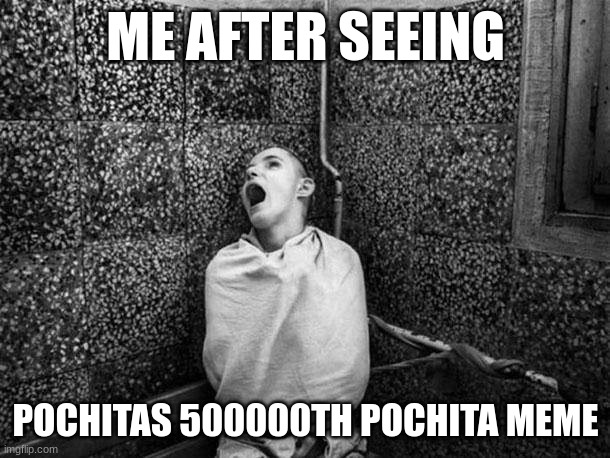 BPP Asylum | ME AFTER SEEING POCHITAS 500000TH POCHITA MEME | image tagged in bpp asylum | made w/ Imgflip meme maker