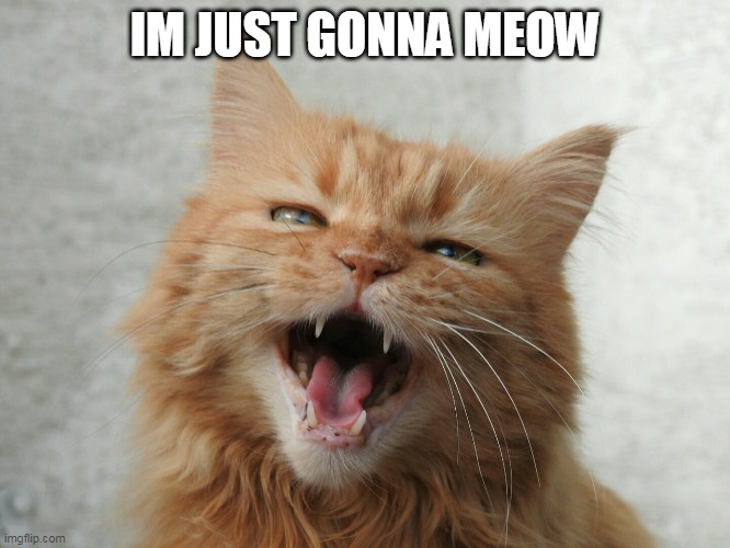 IM JUST GONNA MEOW | made w/ Imgflip meme maker