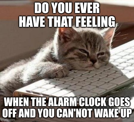 Everyone knows this | DO YOU EVER HAVE THAT FEELING; WHEN THE ALARM CLOCK GOES OFF AND YOU CAN'NOT WAKE UP | image tagged in tired cat,waking up | made w/ Imgflip meme maker