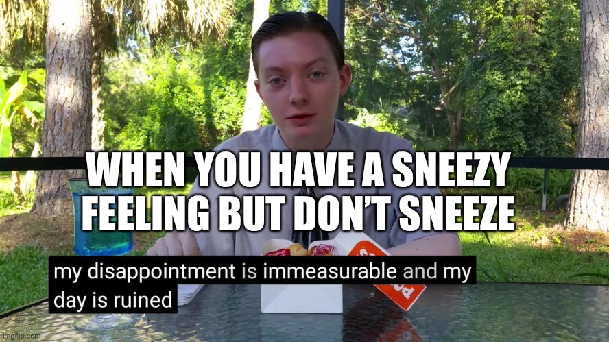 infinite disappointment | WHEN YOU HAVE A SNEEZY FEELING BUT DON’T SNEEZE | image tagged in my disappointment is immeasurable | made w/ Imgflip meme maker