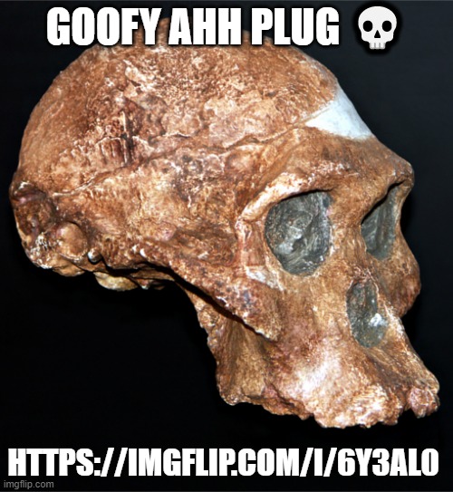 skull | GOOFY AHH PLUG 💀; HTTPS://IMGFLIP.COM/I/6Y3AL0 | image tagged in skull | made w/ Imgflip meme maker