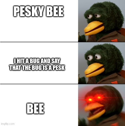 lol | PESKY BEE; I HIT A BUG AND SAY THAT THE BUG IS A PESK; BEE | image tagged in dhmis duck meme,dhmis | made w/ Imgflip meme maker