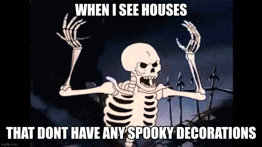 *angry bone sounds* | WHEN I SEE HOUSES; THAT DONT HAVE ANY SPOOKY DECORATIONS | image tagged in spooky skeleton | made w/ Imgflip meme maker