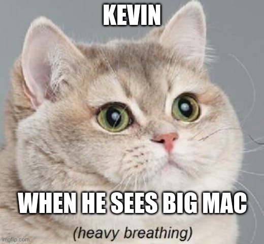 Heavy Breathing Cat Meme | KEVIN; WHEN HE SEES BIG MAC | image tagged in memes,heavy breathing cat | made w/ Imgflip meme maker