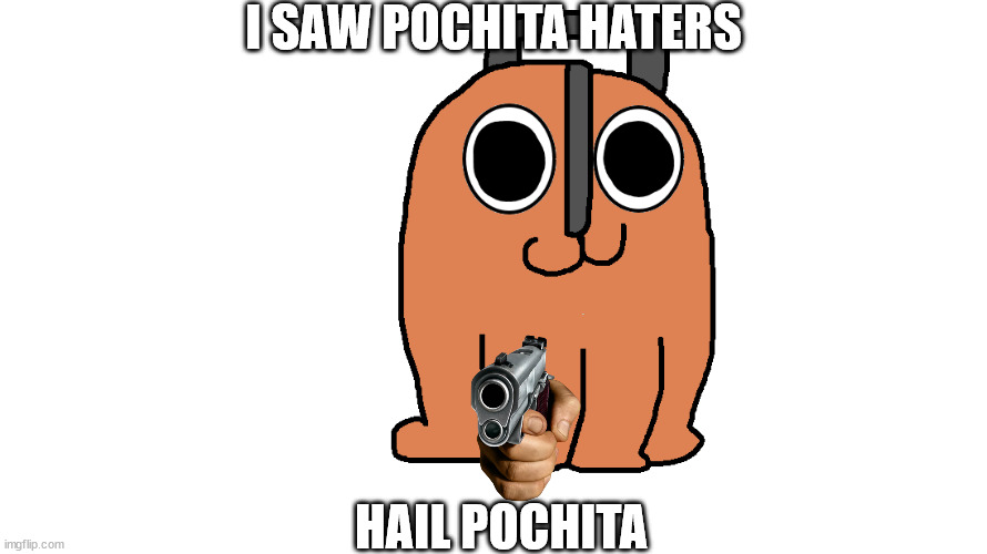 I SAW POCHITA HATERS; HAIL POCHITA | made w/ Imgflip meme maker