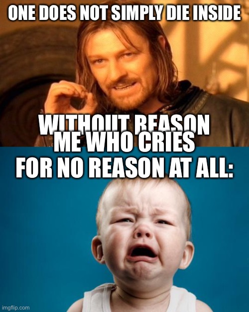 Ooooooofa | ONE DOES NOT SIMPLY DIE INSIDE; WITHOUT REASON; ME WHO CRIES FOR NO REASON AT ALL: | image tagged in memes,one does not simply,baby crying | made w/ Imgflip meme maker