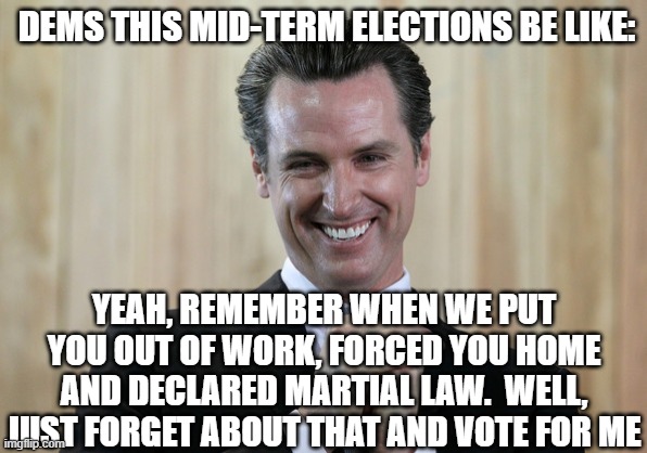 Scheming Gavin Newsom  | DEMS THIS MID-TERM ELECTIONS BE LIKE:; YEAH, REMEMBER WHEN WE PUT YOU OUT OF WORK, FORCED YOU HOME AND DECLARED MARTIAL LAW.  WELL, JUST FORGET ABOUT THAT AND VOTE FOR ME | image tagged in scheming gavin newsom | made w/ Imgflip meme maker