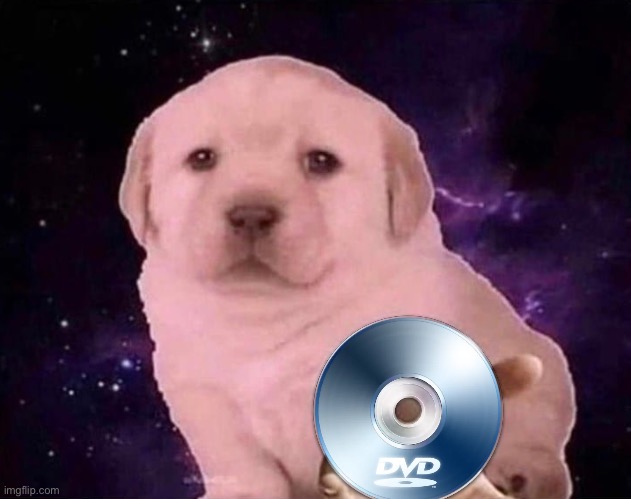 High Quality Dog Gives the DVD Blank Meme Template