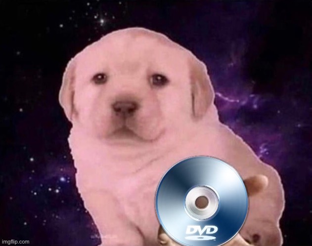 Dog Gives the DVD | image tagged in dog gives the dvd,custom template,new template,meme template,template | made w/ Imgflip meme maker