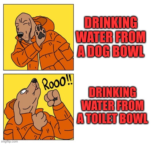 drake dog | DRINKING WATER FROM A DOG BOWL; DRINKING WATER FROM A TOILET BOWL | image tagged in drake dog | made w/ Imgflip meme maker