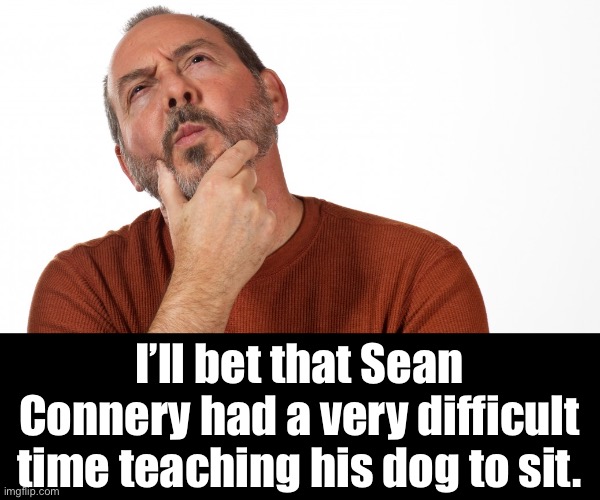 Oh, sit! | I’ll bet that Sean Connery had a very difficult time teaching his dog to sit. | image tagged in hmmm | made w/ Imgflip meme maker