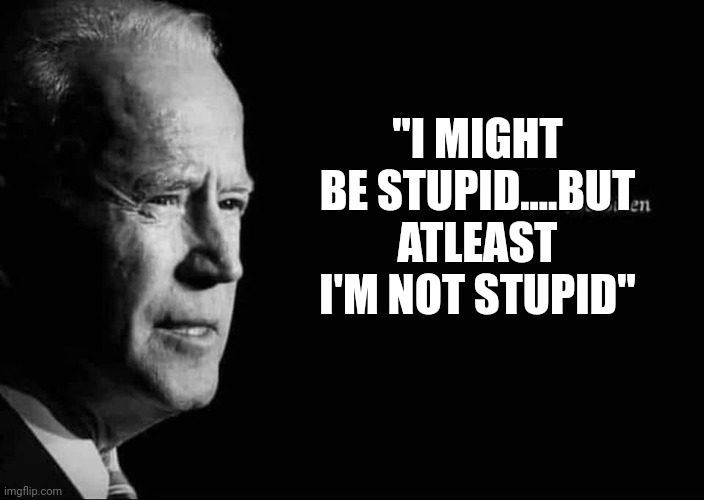 Democrats nominee for president | "I MIGHT BE STUPID....BUT ATLEAST I'M NOT STUPID" | image tagged in joe biden quote | made w/ Imgflip meme maker