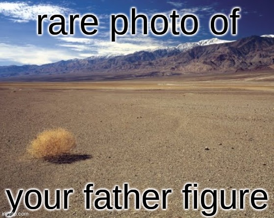. | rare photo of; your father figure | image tagged in desert tumbleweed | made w/ Imgflip meme maker