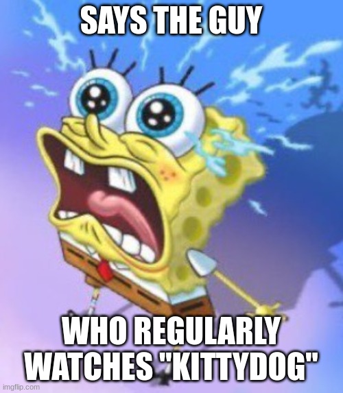 the spunch pop is real (cropped) | SAYS THE GUY WHO REGULARLY WATCHES "KITTYDOG" | image tagged in the spunch pop is real cropped | made w/ Imgflip meme maker