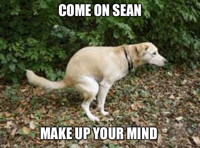 Dog pooping  | COME ON SEAN MAKE UP YOUR MIND | image tagged in dog pooping | made w/ Imgflip meme maker