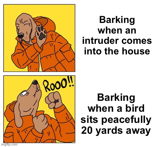 When it matters most | Barking when an intruder comes into the house; Barking when a bird sits peacefully 20 yards away | image tagged in drake dog,memes,unfunny | made w/ Imgflip meme maker