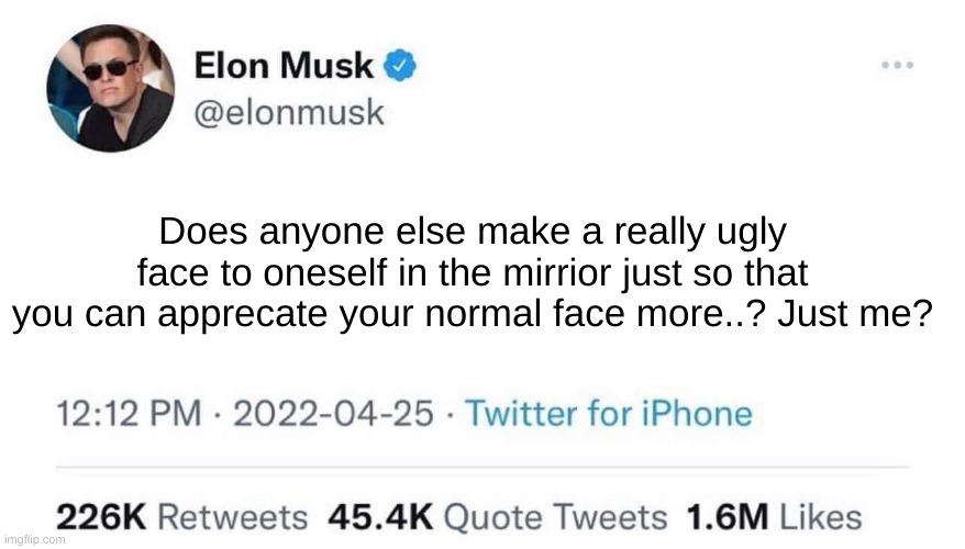 :,C | Does anyone else make a really ugly face to oneself in the mirrior just so that you can apprecate your normal face more..? Just me? | image tagged in elon musk buying twitter | made w/ Imgflip meme maker