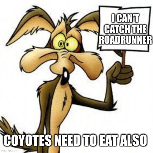 Wile E. Coyote with sign | I CAN’T CATCH THE ROADRUNNER COYOTES NEED TO EAT ALSO | image tagged in wile e coyote with sign | made w/ Imgflip meme maker