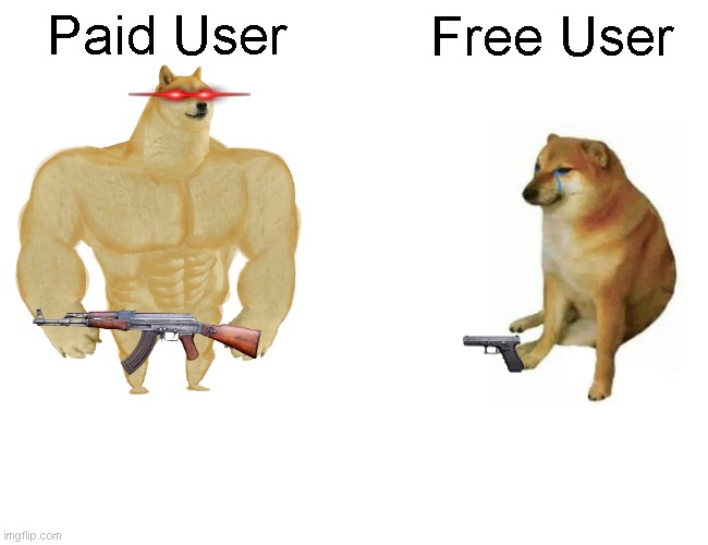 Paid User vs. Free User | Paid User; Free User | image tagged in memes,buff doge vs cheems | made w/ Imgflip meme maker