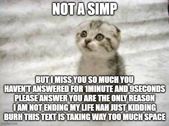 Sad Cat | NOT A SIMP; BUT I MISS YOU SO MUCH YOU HAVEN'T ANSWERED FOR 1MINUTE AND 9SECONDS PLEASE ANSWER YOU ARE THE ONLY REASON I AM NOT ENDING MY LIFE NAH JUST KIDDING BURH THIS TEXT IS TAKING WAY TOO MUCH SPACE | image tagged in memes,sad cat | made w/ Imgflip meme maker