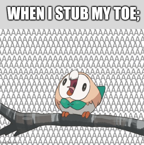 rowlet screaming on a branch | WHEN I STUB MY TOE; | image tagged in rowlet screaming on a branch | made w/ Imgflip meme maker