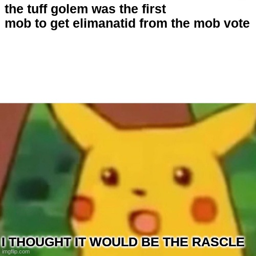 Surprised Pikachu Meme | the tuff golem was the first mob to get elimanatid from the mob vote; I THOUGHT IT WOULD BE THE RASCLE | image tagged in memes,surprised pikachu | made w/ Imgflip meme maker