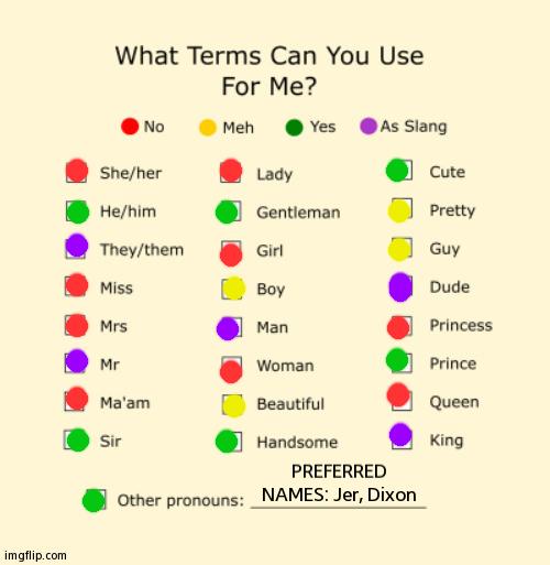 Preferred Names Included! | PREFERRED NAMES: Jer, Dixon | image tagged in pronouns sheet,pronouns,lgbtq | made w/ Imgflip meme maker