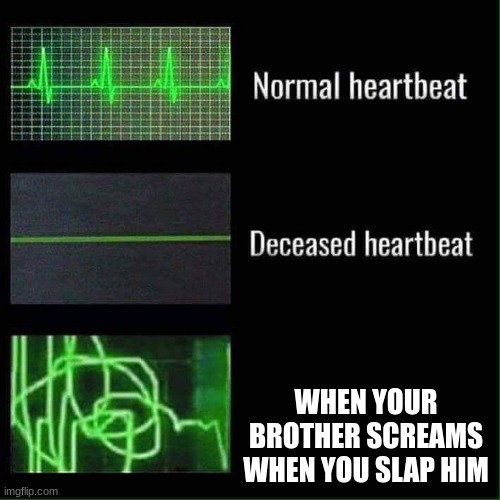 Heart beat meme | WHEN YOUR BROTHER SCREAMS WHEN YOU SLAP HIM | image tagged in heart beat meme | made w/ Imgflip meme maker