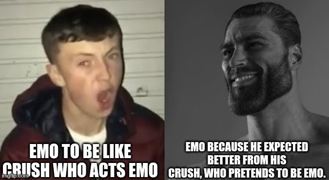 When the crush is emo | EMO TO BE LIKE CRUSH WHO ACTS EMO; EMO BECAUSE HE EXPECTED BETTER FROM HIS CRUSH, WHO PRETENDS TO BE EMO. | image tagged in average enjoyer meme | made w/ Imgflip meme maker