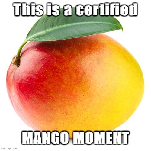 Mango | This is a certified MANGO MOMENT | image tagged in mango | made w/ Imgflip meme maker