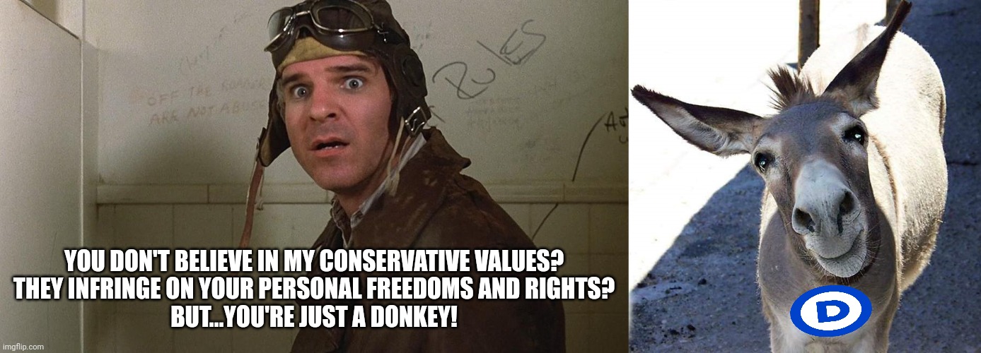 Navin vs democrat | YOU DON'T BELIEVE IN MY CONSERVATIVE VALUES?
THEY INFRINGE ON YOUR PERSONAL FREEDOMS AND RIGHTS?
BUT...YOU'RE JUST A DONKEY! | image tagged in democrats,liberal logic,liberals vs conservatives,the jerk,donkey | made w/ Imgflip meme maker