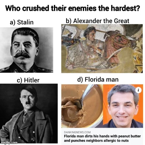 I Vote D | image tagged in history memes | made w/ Imgflip meme maker