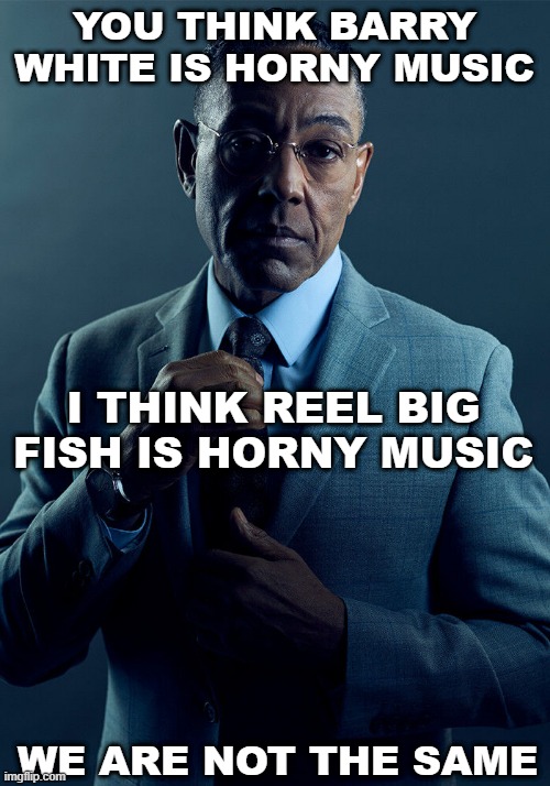 What kind of horny are you talking about, anyway? | YOU THINK BARRY WHITE IS HORNY MUSIC; I THINK REEL BIG FISH IS HORNY MUSIC; WE ARE NOT THE SAME | image tagged in gus fring we are not the same | made w/ Imgflip meme maker