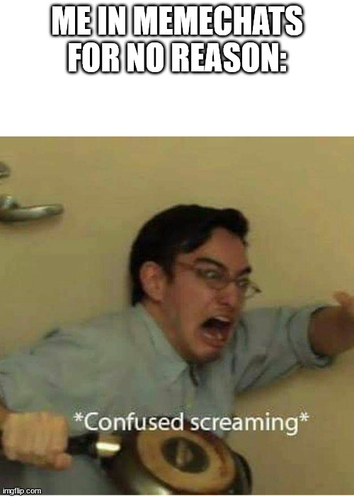 aaaaaa | ME IN MEMECHATS FOR NO REASON: | image tagged in confused screaming | made w/ Imgflip meme maker